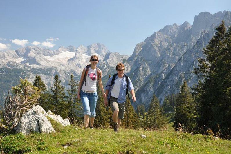 Appartement Stelo Gosau-Hallstatt المظهر الخارجي الصورة